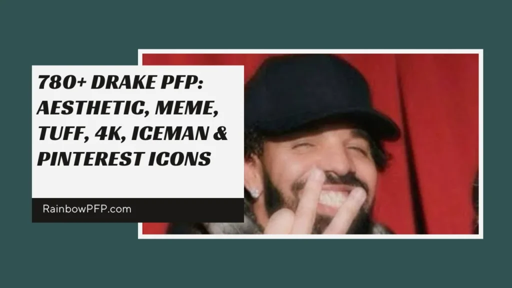 Drake PFP