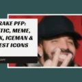 Drake PFP