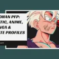 Gohan PFP