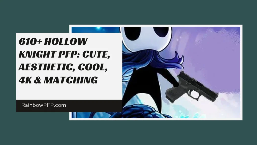 Hollow Knight PFP