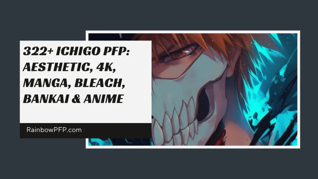 Ichigo PFP