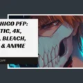 Ichigo PFP