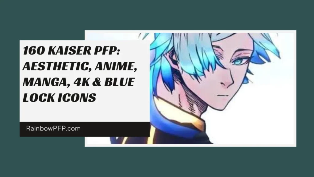Kaiser PFP