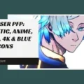 Kaiser PFP