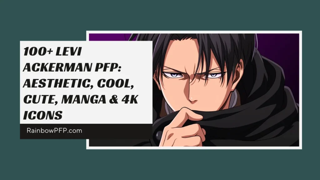 Levi Ackerman PFP