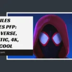 Miles Morales PFP