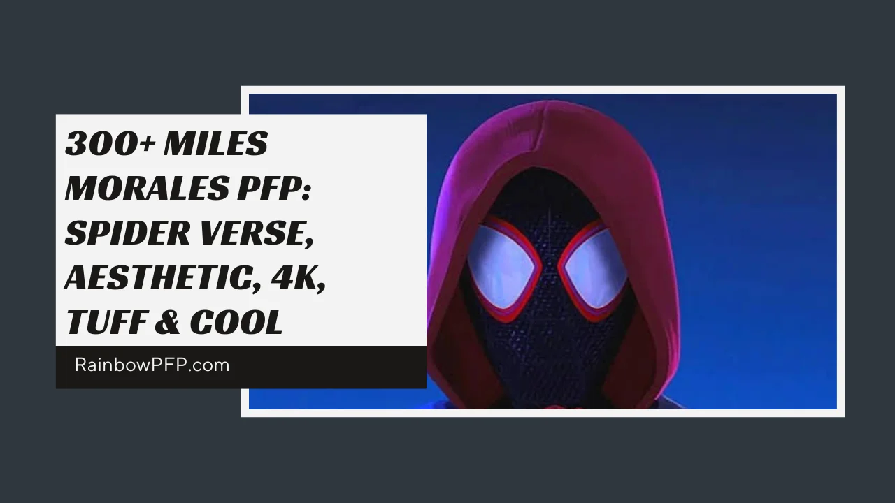 Miles Morales PFP