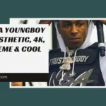 NBA YoungBoy PFP