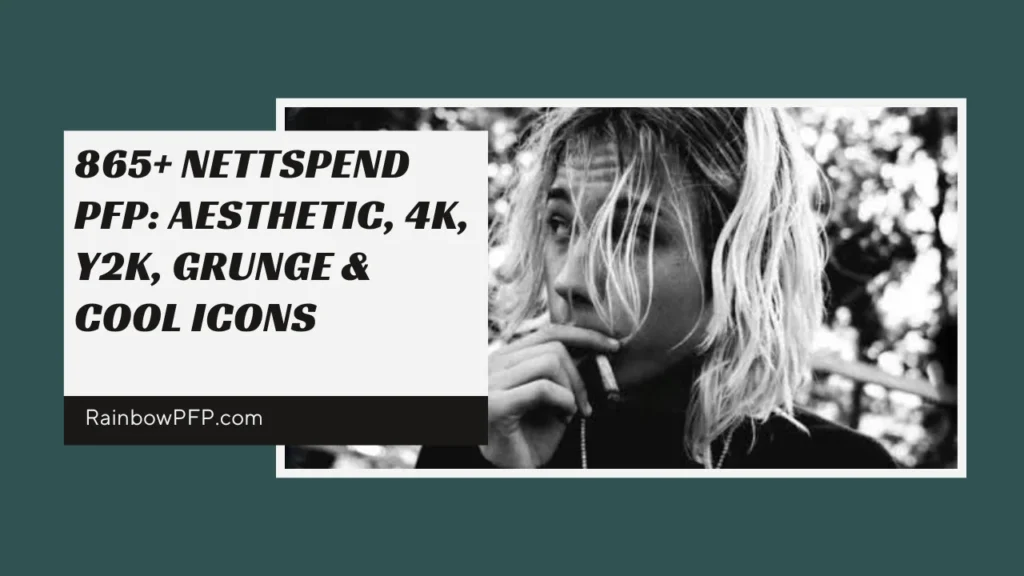 Nettspend PFP
