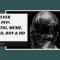 Silver Surfer PFP