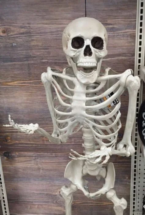 Skeleton PFP