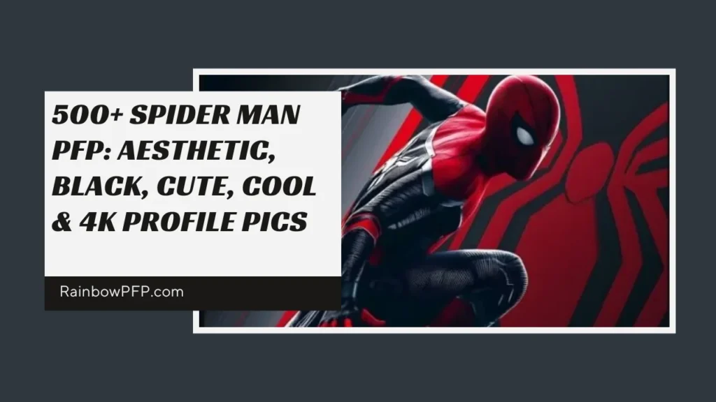 Spider Man PFP