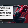 Spider Man PFP