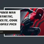 Spider Man PFP