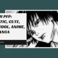 Toji PFP