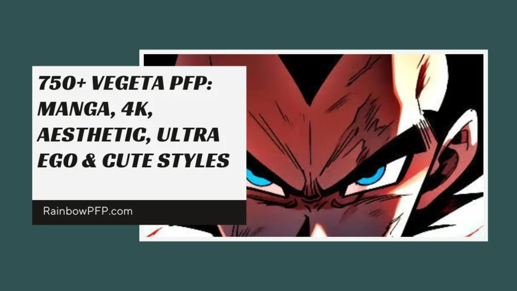 Vegeta PFP