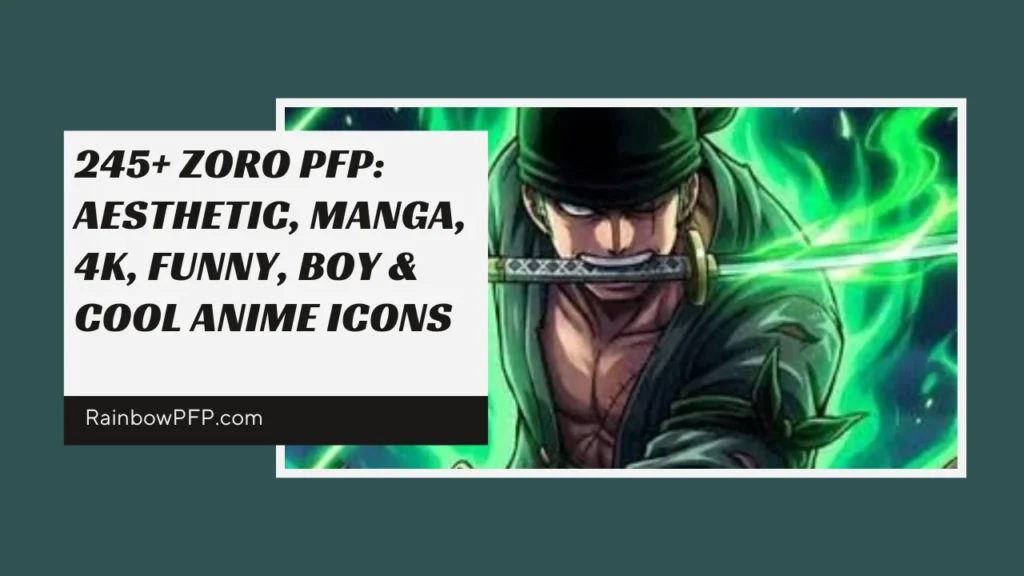 Zoro PFP