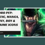 Zoro PFP